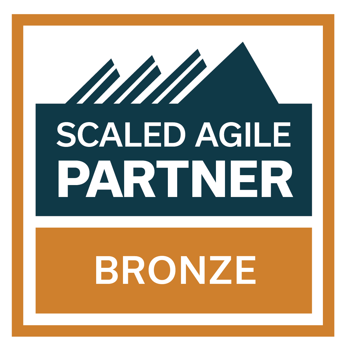 SAFe 6.0 Bronze Partner