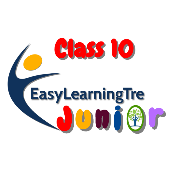 EasyLearningTre Junior