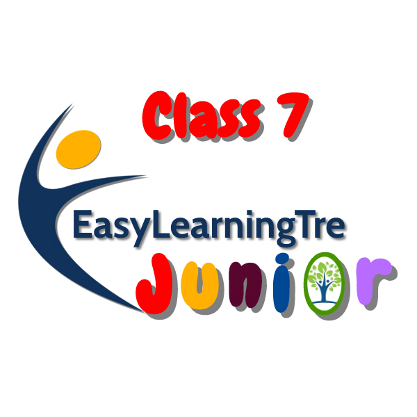 EasyLearningTre Junior