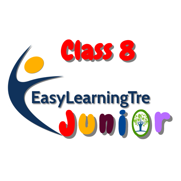 EasyLearningTre Junior